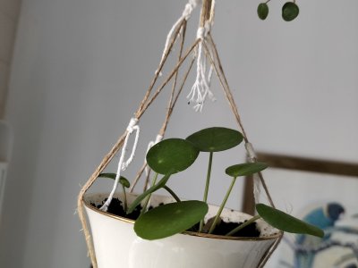 Atelier Macramé
