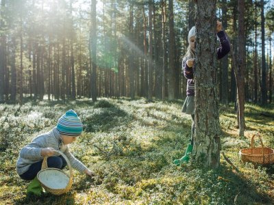 Stage : Guide nature