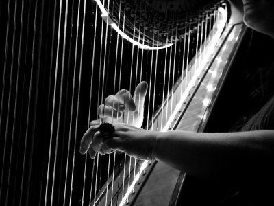 Une harpe au jardin