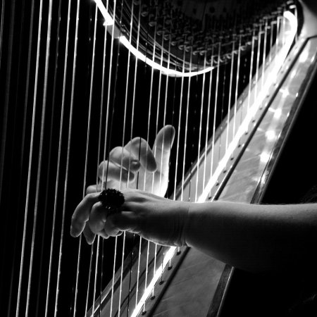 Une harpe au jardin